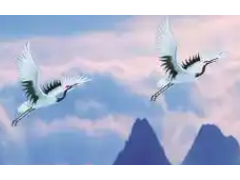 (主臥室風(fēng)水布局的注意事項(xiàng))主臥室的風(fēng)水禁忌是什么 主臥室風(fēng)水禁忌大全